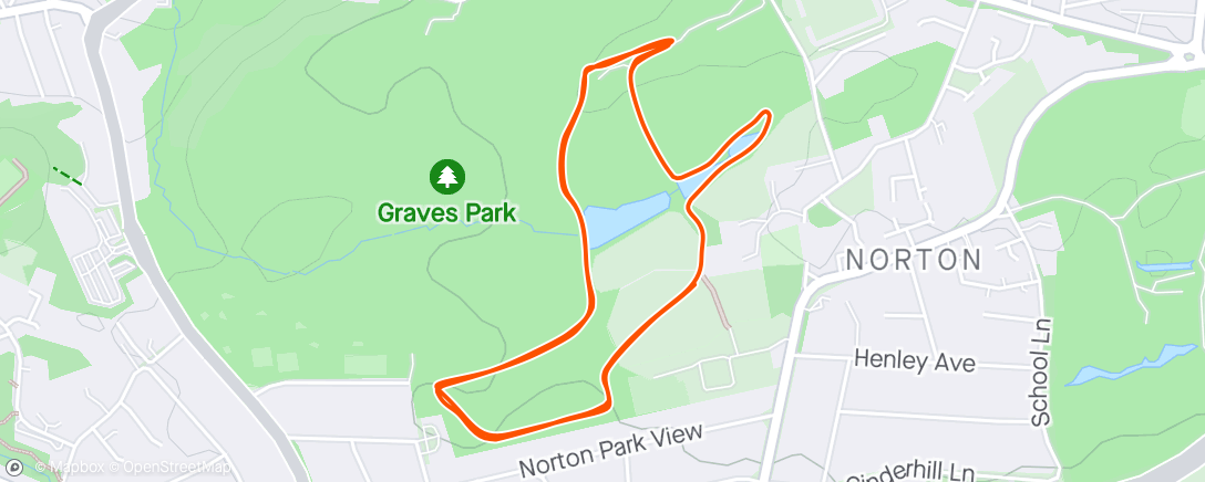 Карта физической активности (Graves Park run)