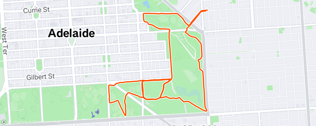 Map of the activity, Morning Run
