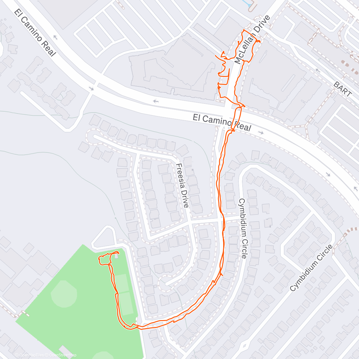 Map of the activity, 🐾 🌕 🌟