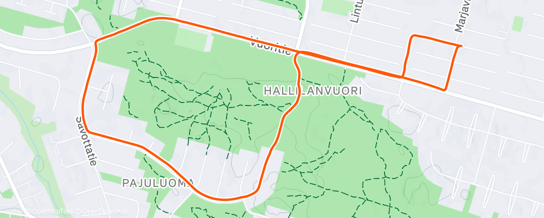 Карта физической активности (Morning Run)