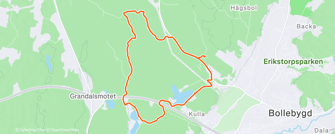 Map of the activity, Trail Run with Dante