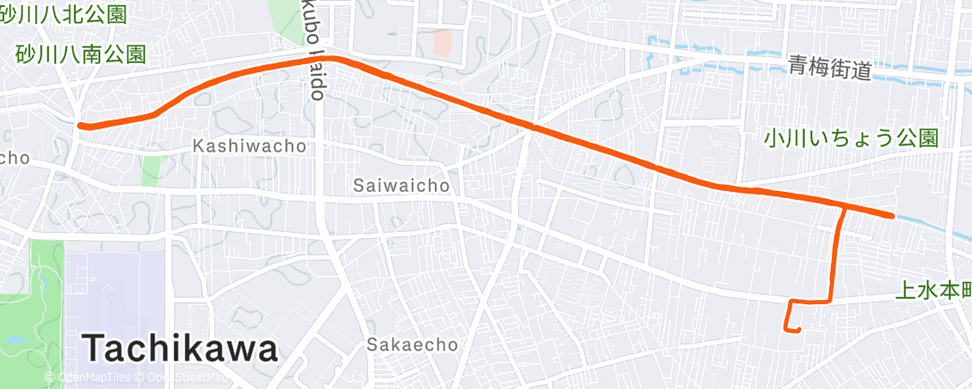 Карта физической активности (Morning Run)