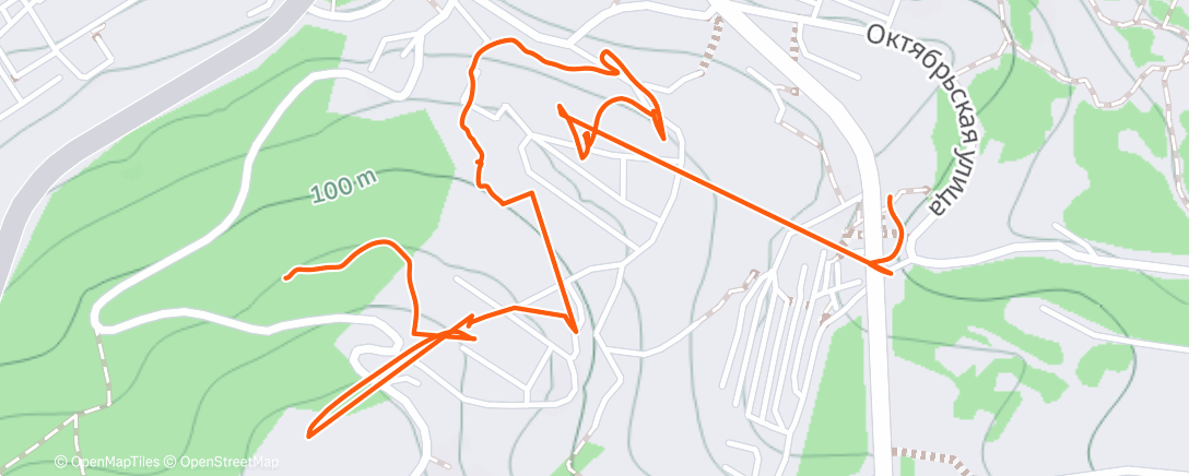 Map of the activity, Трейлраннинг (день)