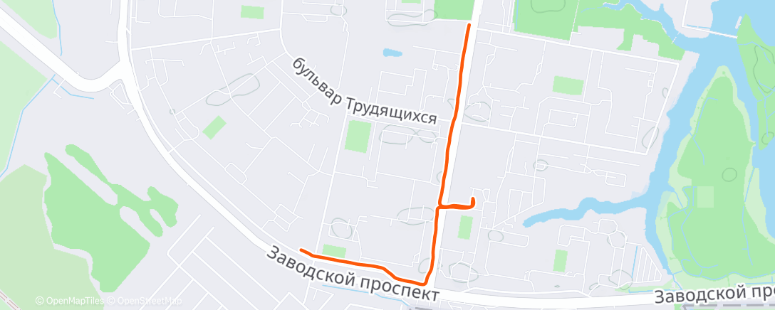 Map of the activity, Все передвижения по городу только бегом )))