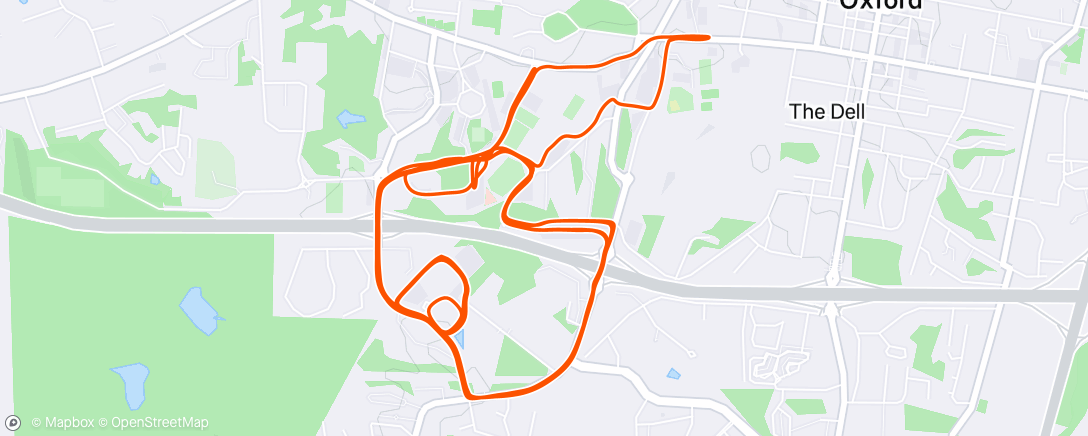 Map of the activity, Morning Run