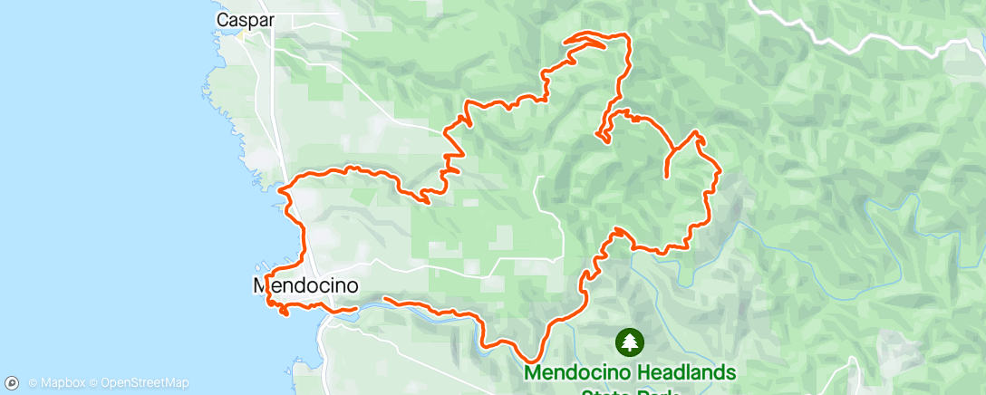 Map of the activity, Mendocino Coast 50K. I'm glad I was able to run and not just hike it after last Saturday's race.