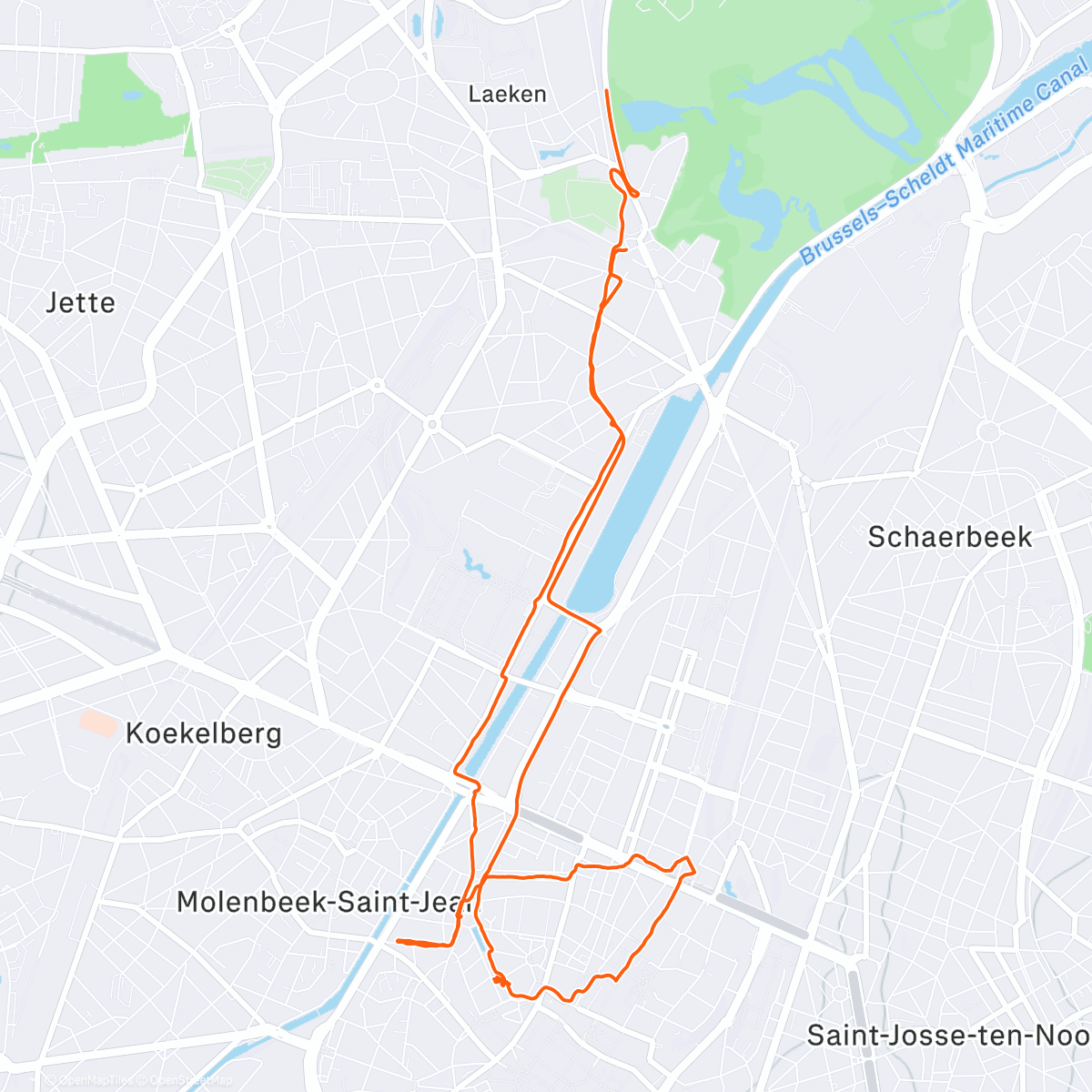 Map of the activity, Viva for Life