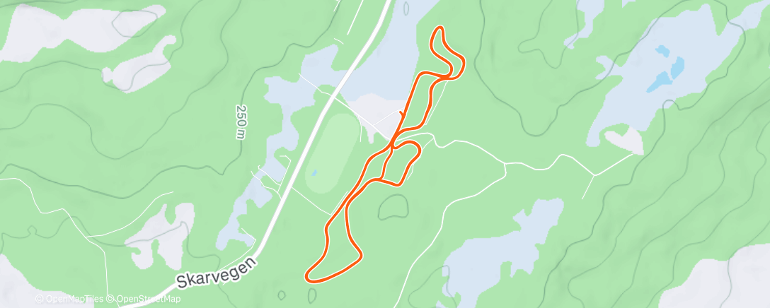 Карта физической активности (Afternoon Nordic Ski)