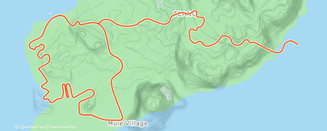 Карта физической активности (Zwift - Flat Route in Watopia)