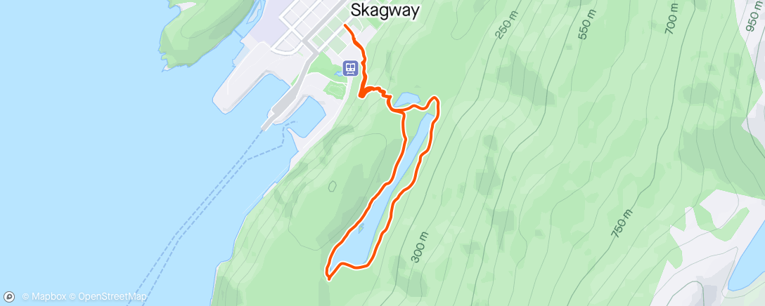 Map of the activity, Skagway