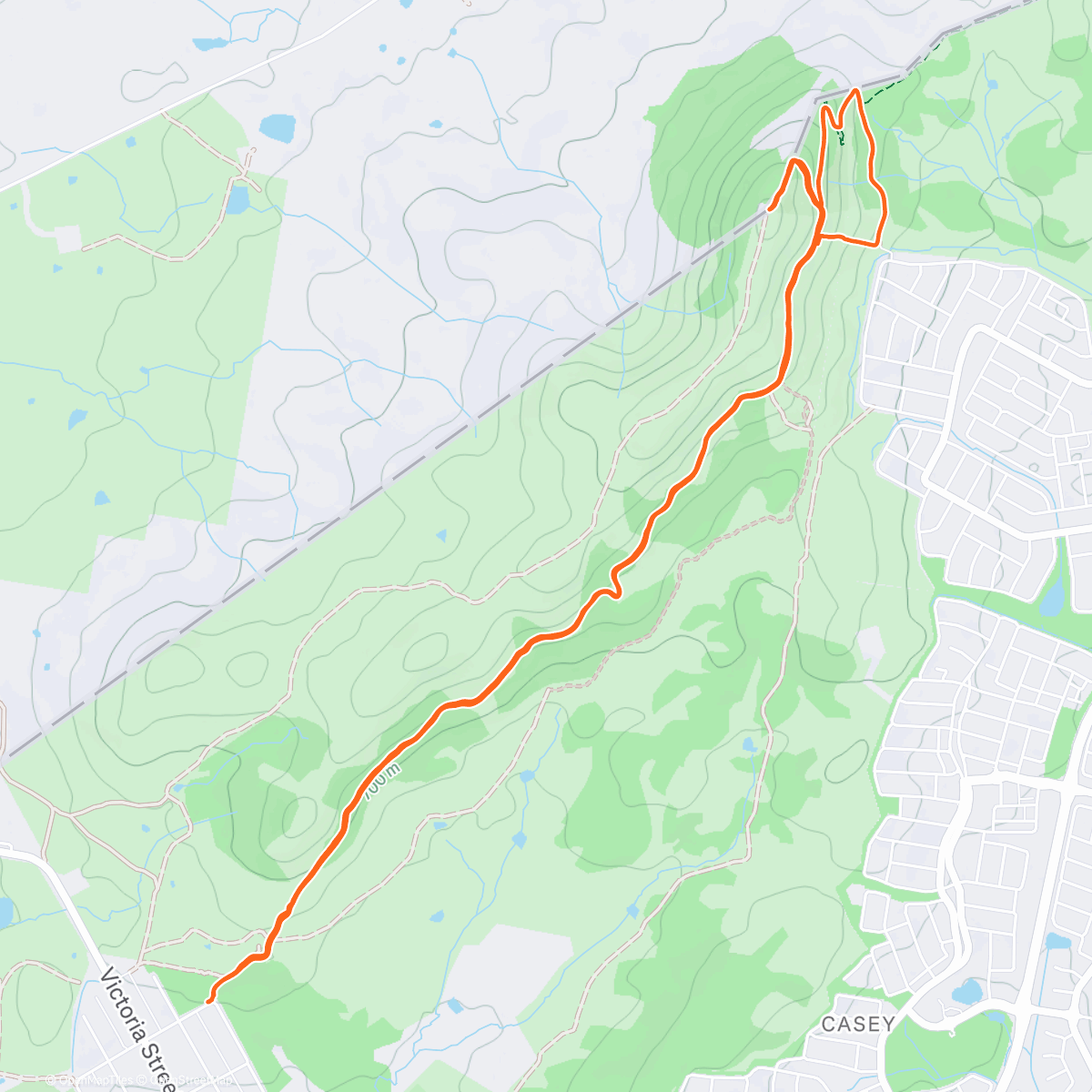 Map of the activity, Evening Trail Run