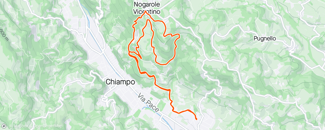 Map of the activity, Trail Run 🐗