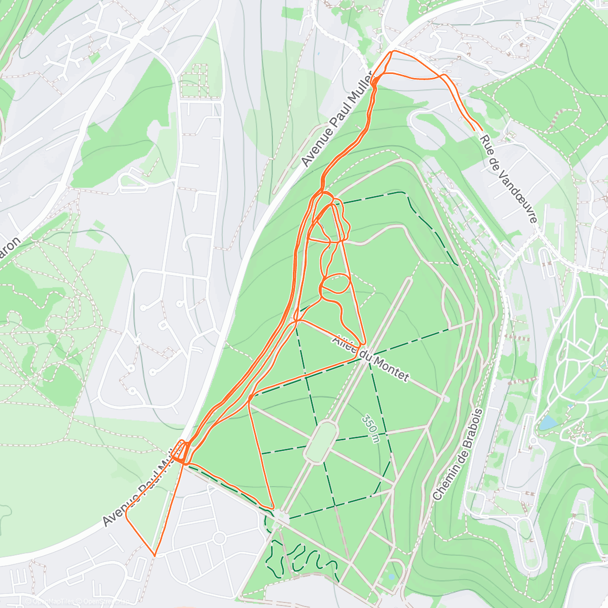 Карта физической активности (Trail Running Brabois)