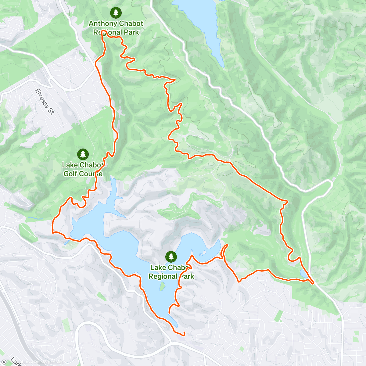 Map of the activity, Trail half marathon on 4.5hrs of sleep