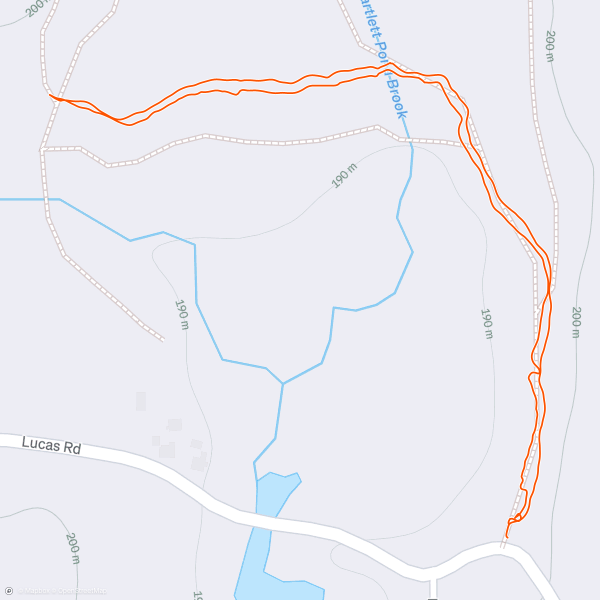 Strava 달리기 선수 프로필 | Bill Roseberry