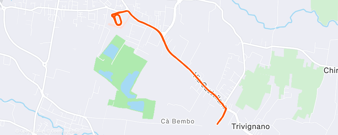 Карта физической активности (12x500)