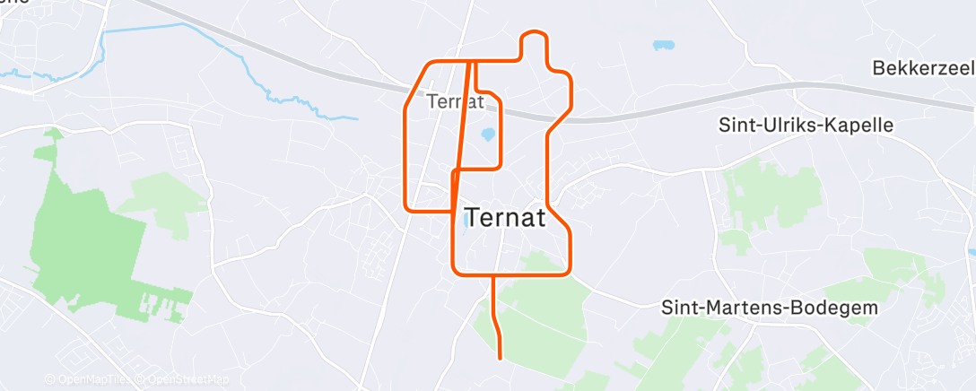 Карта физической активности (MyWhoosh - Brussels Town Square)