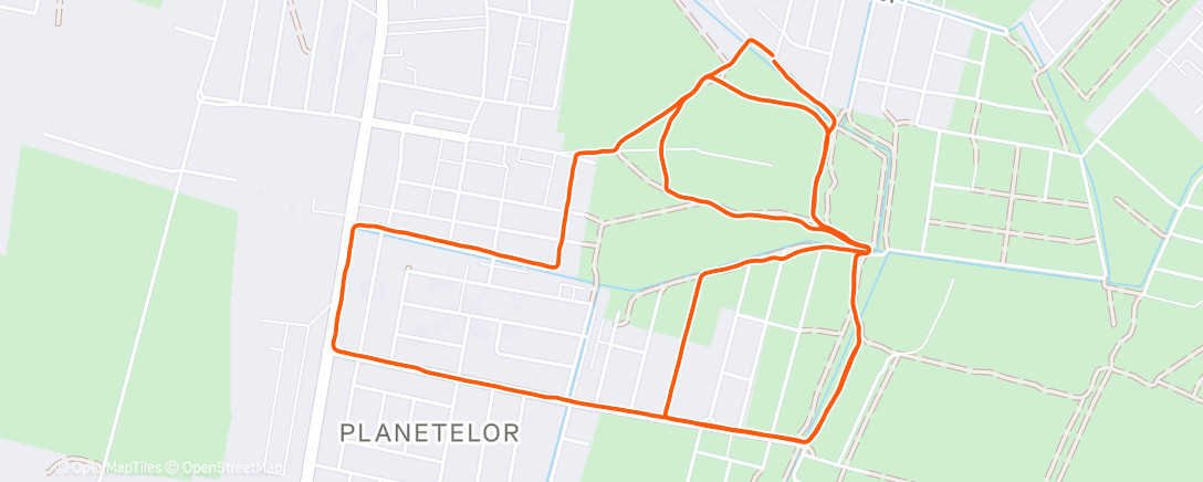 Карта физической активности (Morning Run)