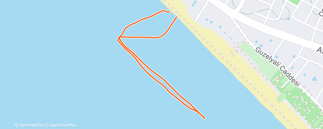 Карта физической активности (Morning Swim)