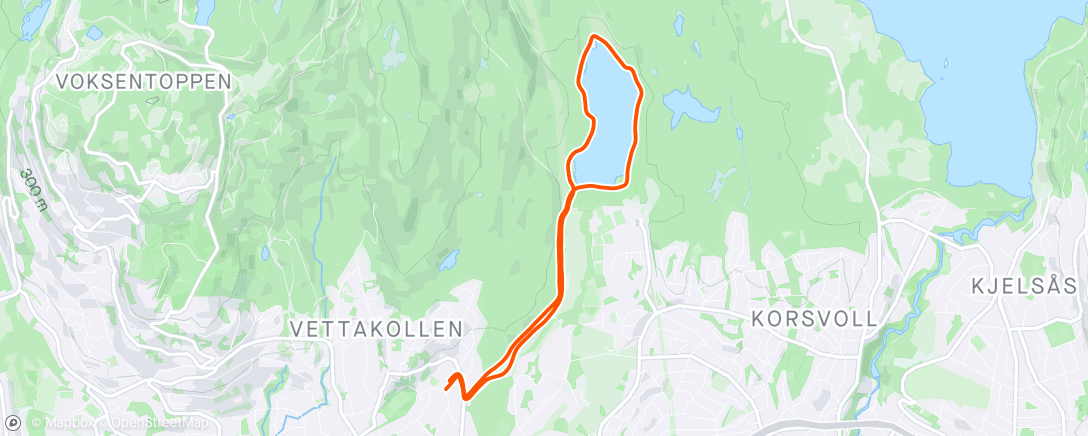 Карта физической активности (Lunsjtur rundt Sognsvann)