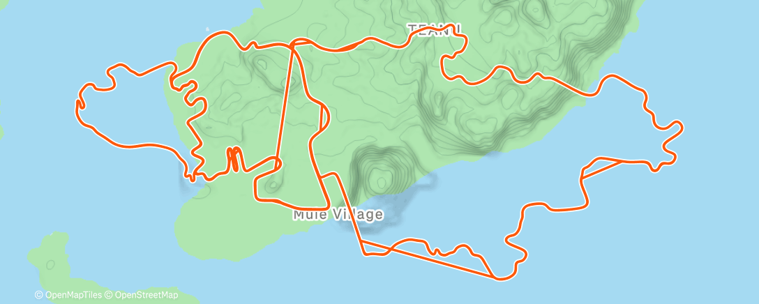 Map of the activity, Zwift - Flat Route in Watopia