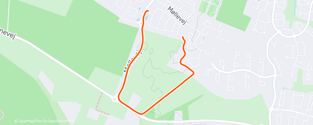 Map of the activity, Afternoon Walk 🐶🐾