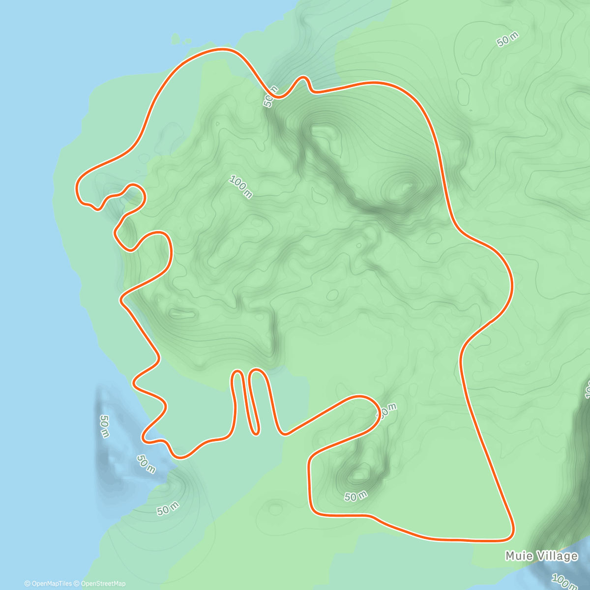 Map of the activity, Zwift - Flat Route in Watopia