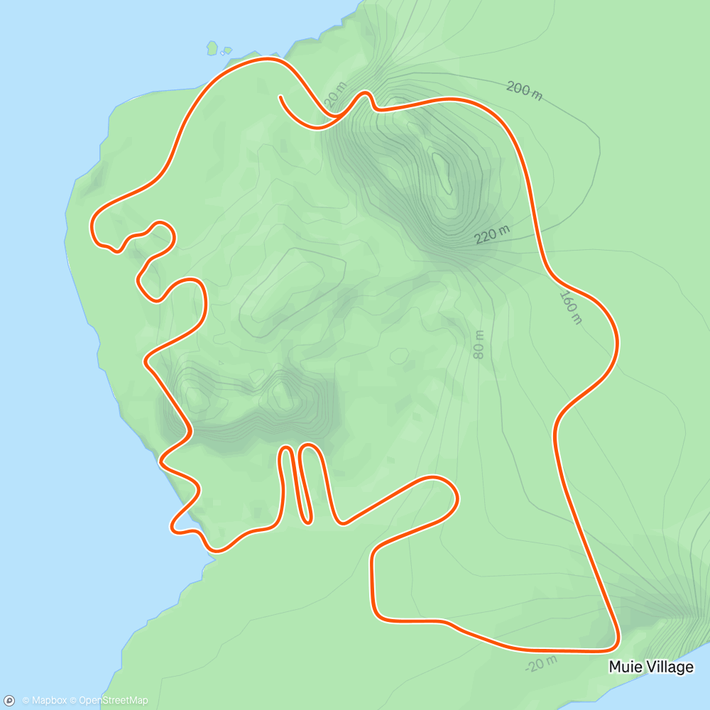 Map of the activity