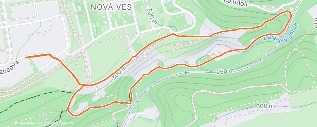 Карта физической активности (Afternoon Trail Run)