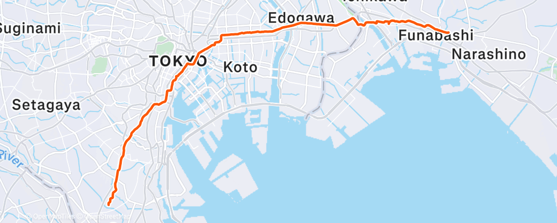 Map of the activity, 夜のランニング