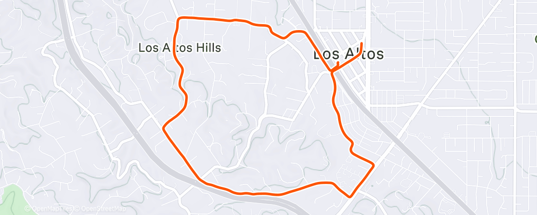 Карта физической активности (Morning Run)