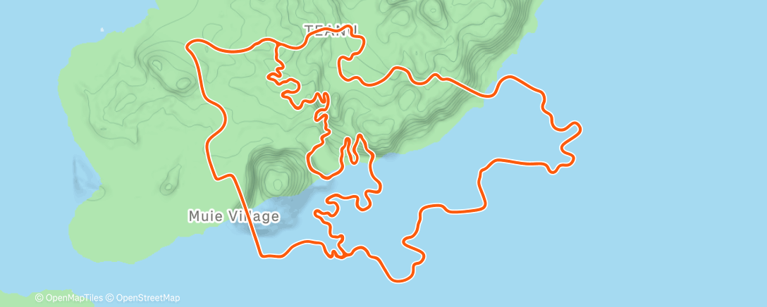 Карта физической активности (FM with alternating cadence)