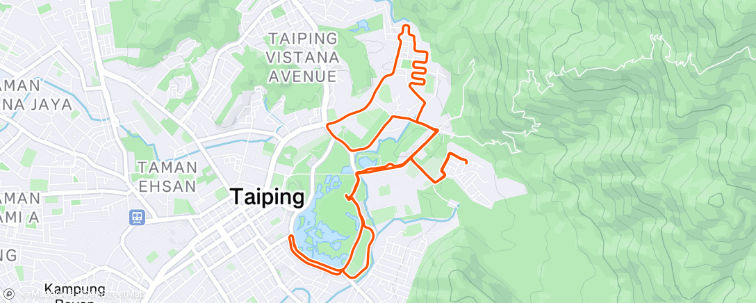 Map of the activity, Morning Run