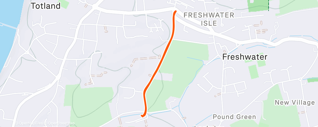 Карта физической активности (Afternoon Walk)