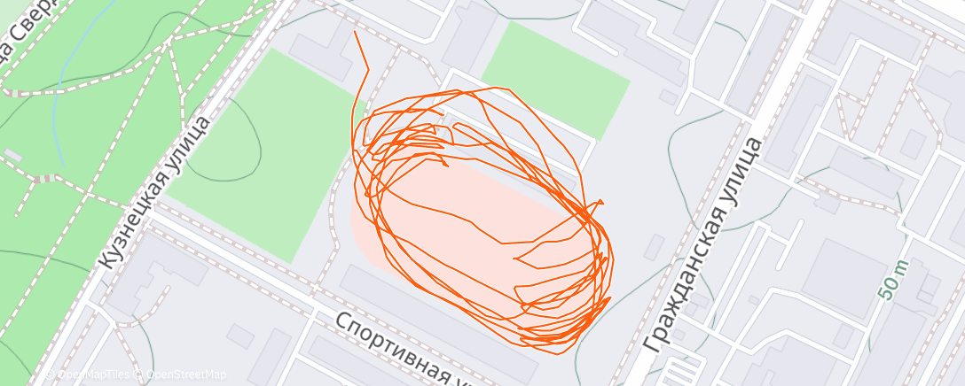 Карта физической активности (Дневной забег)