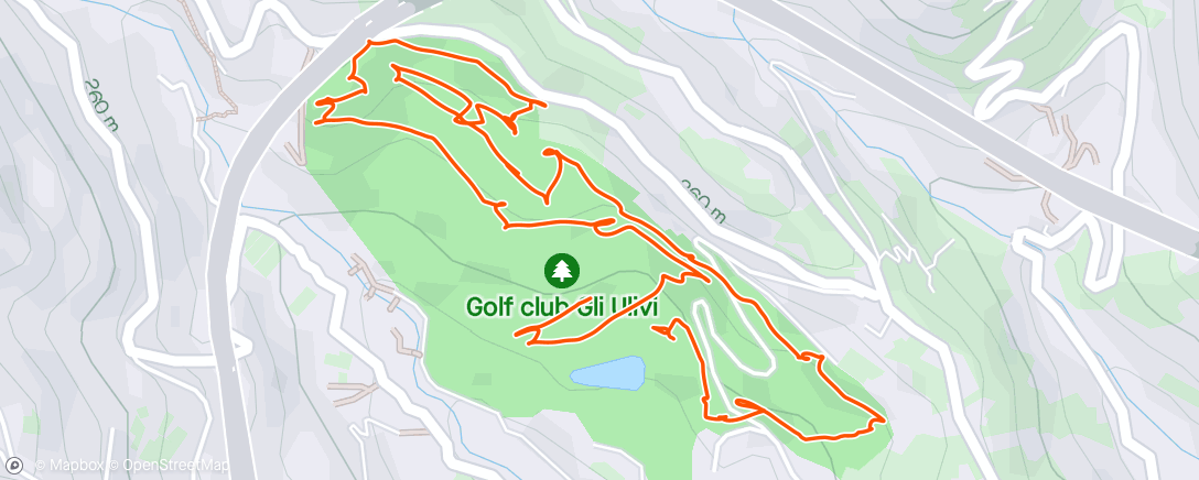 Карта физической активности (Afternoon Golf)