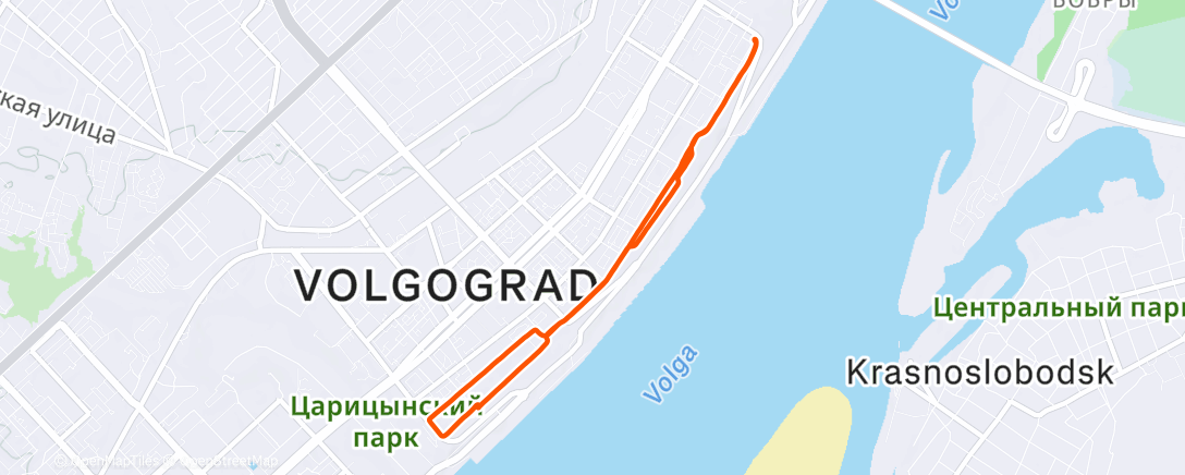 Карта физической активности (Morning Run)