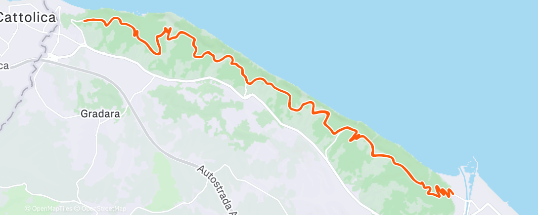 Map of the activity, Bdc