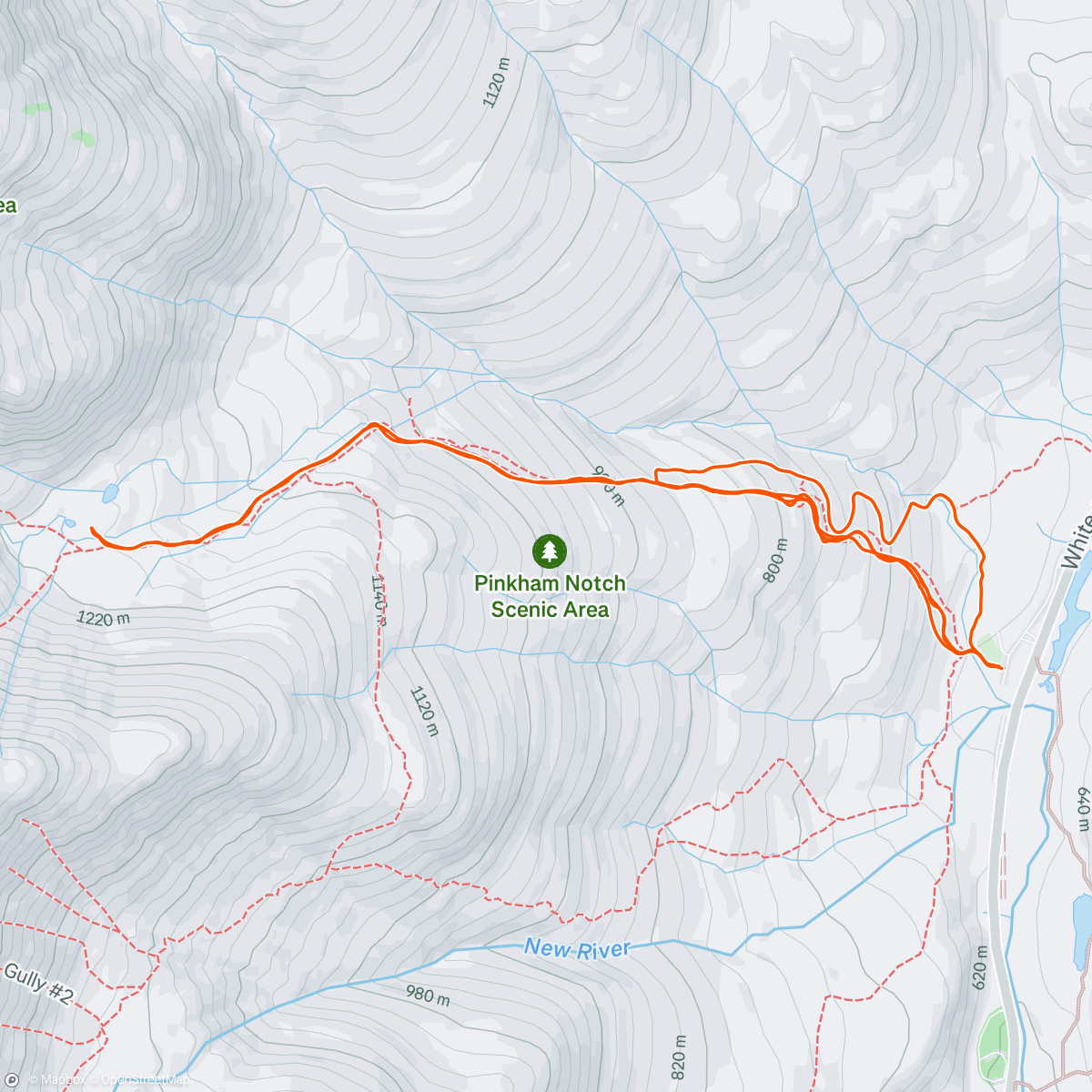 Map of the activity, Sherb-aholics