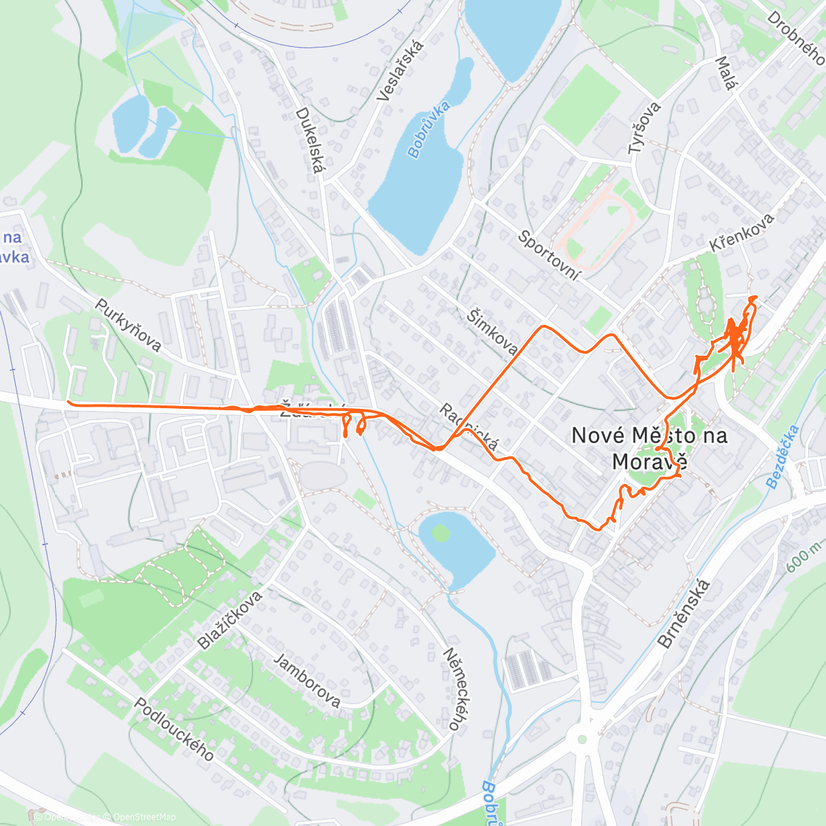 Map of the activity, NMNM Memories