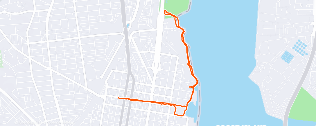 Map of the activity, Morning Trail Run