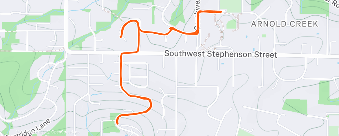 Карта физической активности (Morning Run)