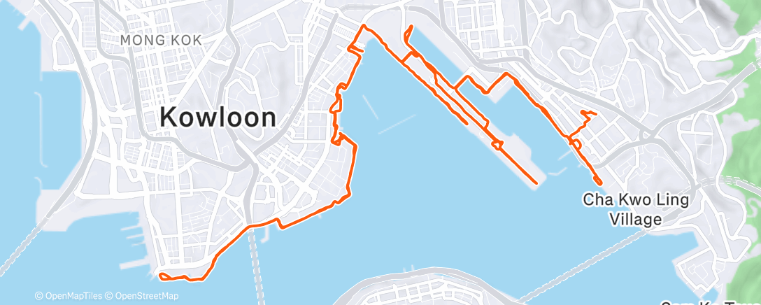 Map of the activity, Morning Run