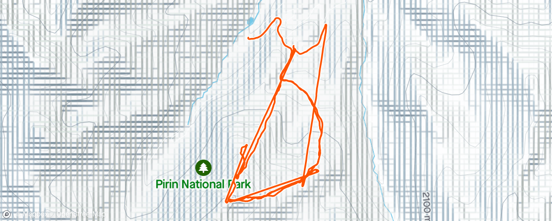 Map of the activity, Round the tiny treetops 