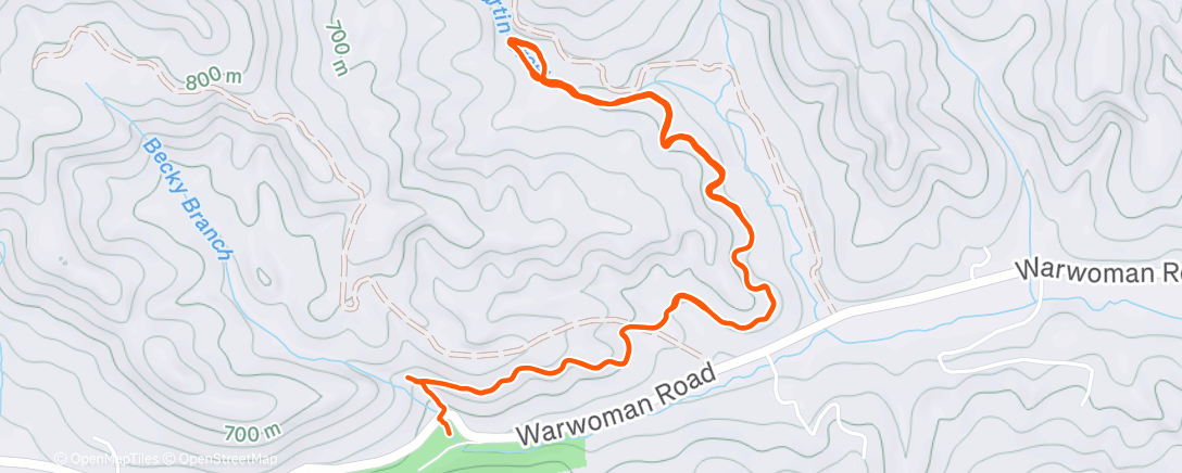 Карта физической активности (Afternoon Run)