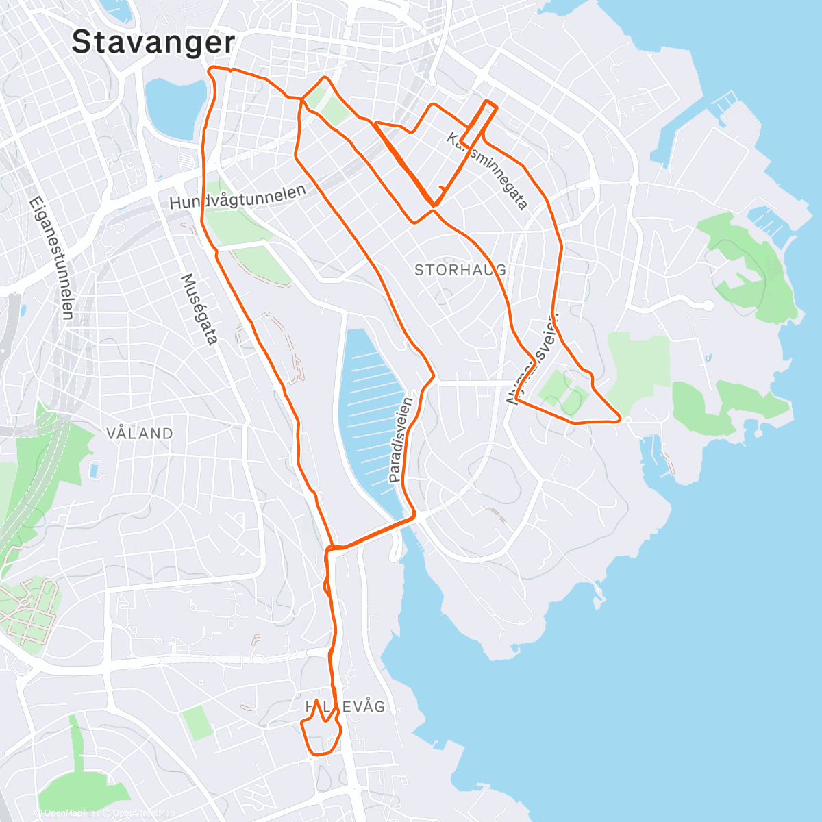 Карта физической активности (Blytungt i dag, skulle heldigvis holde lav sone. La inn en halvtimes styrketrening halvveis sammen med Randi på SIK)