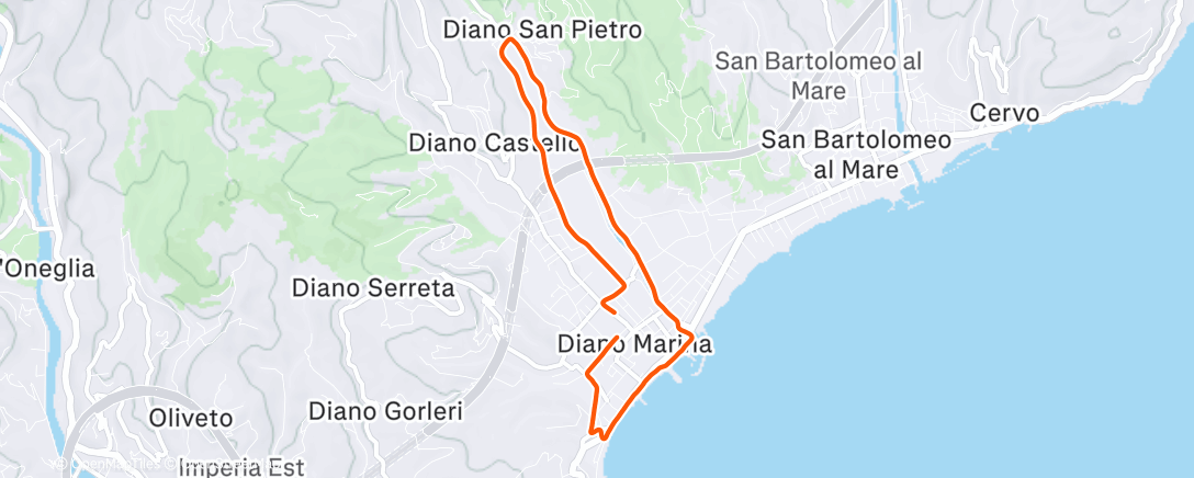 Карта физической активности (Morning Run)