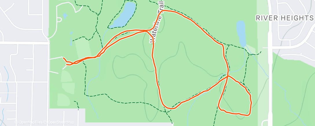 Карта физической активности (Smiley Fluffy Dog)