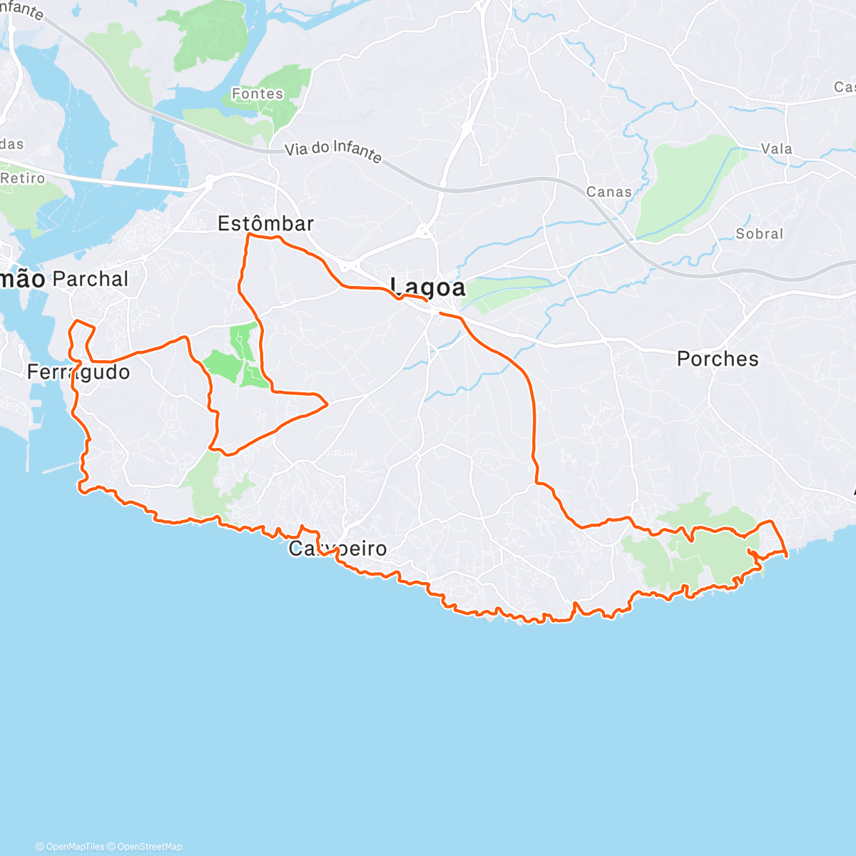 Карта физической активности (Project 46 @ 46)