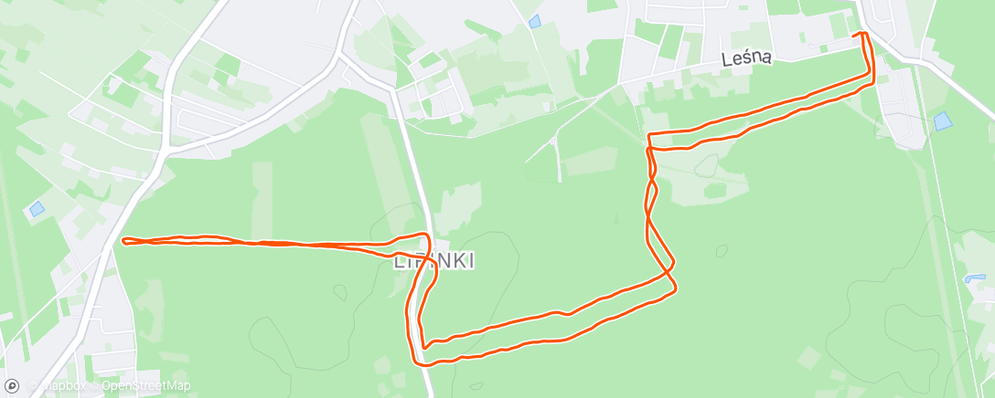 Карта физической активности (Evening Run)